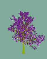greenshift tree