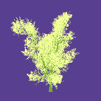 greenshift tree