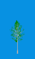 greenshift tree