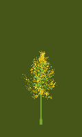greenshift tree