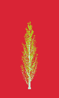 greenshift tree