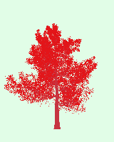 greenshift tree