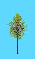 greenshift tree