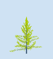 greenshift tree