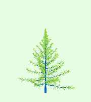 greenshift tree