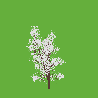 greenshift tree