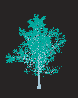 greenshift tree