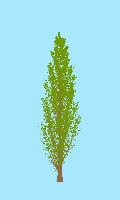 greenshift tree