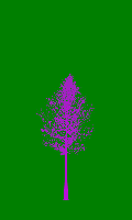 greenshift tree