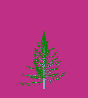 greenshift tree