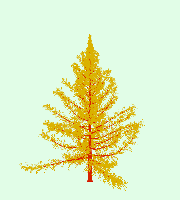 greenshift tree