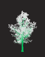 greenshift tree