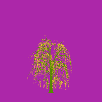 greenshift tree