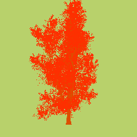 greenshift tree