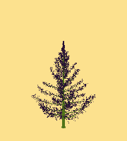 greenshift tree