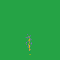 greenshift tree