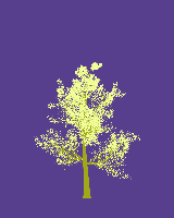 greenshift tree