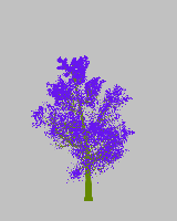 greenshift tree