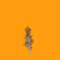 greenshift tree