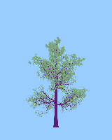 greenshift tree