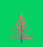 greenshift tree