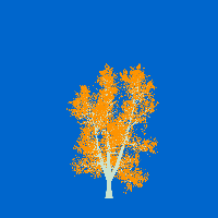 greenshift tree