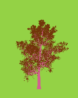 greenshift tree