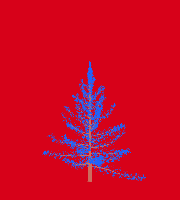 greenshift tree