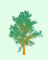 greenshift tree