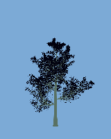 greenshift tree