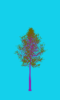 greenshift tree