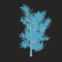 greenshift tree