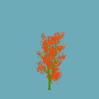 greenshift tree