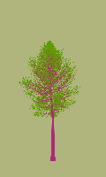 greenshift tree