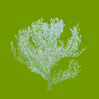 greenshift tree