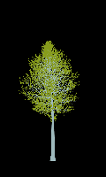 greenshift tree