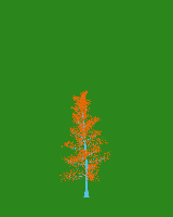 greenshift tree