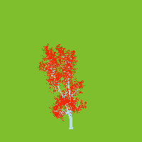 greenshift tree
