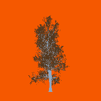 greenshift tree