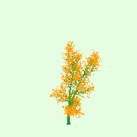 greenshift tree