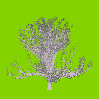 greenshift tree