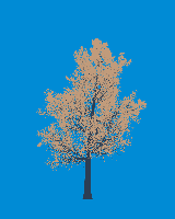 greenshift tree