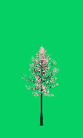 greenshift tree