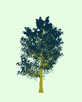 greenshift tree