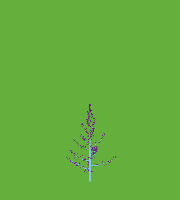 greenshift tree