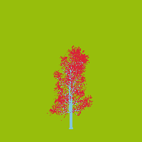 greenshift tree
