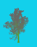greenshift tree