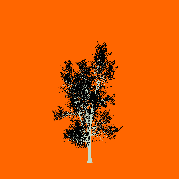 greenshift tree