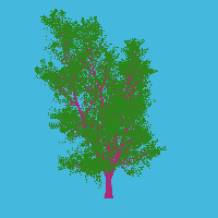 greenshift tree