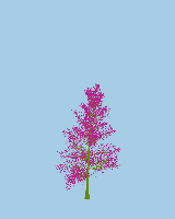 greenshift tree